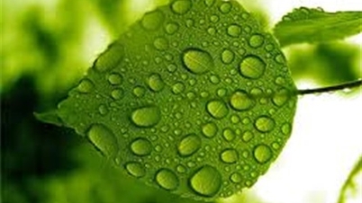 Đi tìm sự bình yên trong tâm hồn