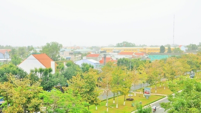 តើគម្រោងផ្លូវ Hung Vuong (Tam Ky) នឹងចាប់ផ្តើមនៅពេលណា?