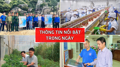 Nghe An: Highlights am 31. März