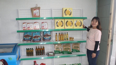 Nui Thanh complète le dossier de réévaluation de 14 produits OCOP périmés
