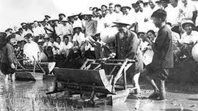 ផ្អែកលើមនុស្ស