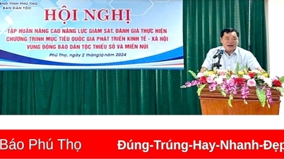 Tập huấn, nâng cao năng lực giám sát cho cán bộ triển khai Chương trình 1719
