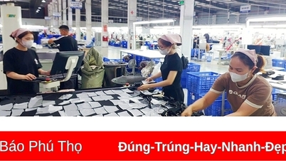 ការកសាងទំនាក់ទំនងការងារប្រកបដោយស្ថិរភាព សុខដុមរមនា និងនិរន្តរភាព