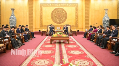 Förderung der bilateralen Zusammenarbeit zwischen der Provinz Ninh Binh und Korea