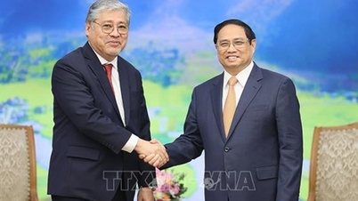 Prime Minister Pham Minh Chinh receives Philippine Foreign Minister