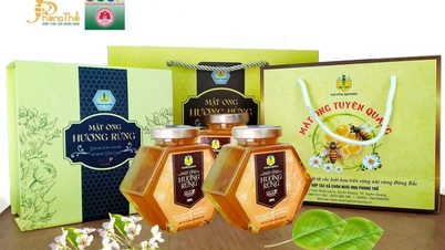 Xếp hạng 6 sản phẩm OCOP đạt 4 sao