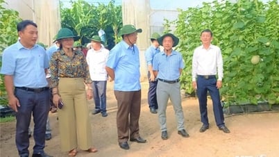 Đoàn công tác Tp. Phan Rang-Tháp Chàm tham quan, học tập kinh nghiệm về mô hình ứng dụng nông nghiệp cao tại huyện Phú Giáo