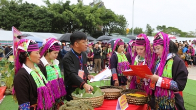 Hai Ha: Creating attraction from tourism activities