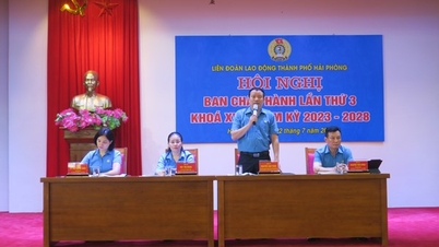 Sơ kết phong trào công nhân viên chức lao động và hoạt động Công đoàn thành phố 6 tháng đầu năm 2024