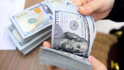 Gold price returns to 81 million VND/tael, central exchange rate increases
