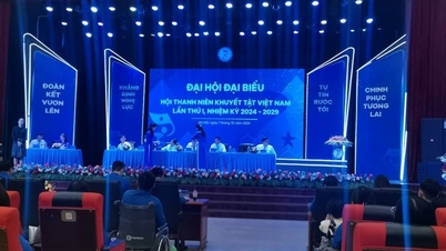 133 thanh niên tham gia Đại hội đại biểu Hội thanh niên khuyết tật Việt Nam lần thứ I