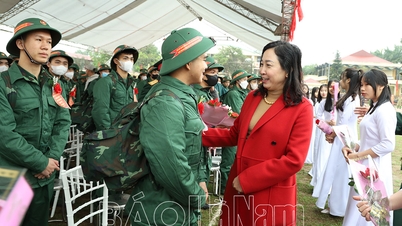 Standing Deputy Secretary of the Provincial Party Committee Dinh Thi Lua attended the military handover ceremony in Ly Nhan district.
