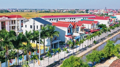 Yên Mô Phát huy vai trò của đảng viên trong xây dựng nông thôn mới nâng cao