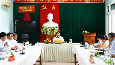 សមមិត្ត Tran Quoc Nam លេខារងគណៈកម្មាធិការបក្សខេត្ត ប្រធានគណៈកម្មាធិការប្រជាជនខេត្ត បានធ្វើការជាមួយមន្ទីរផែនការ និងវិនិយោគ។