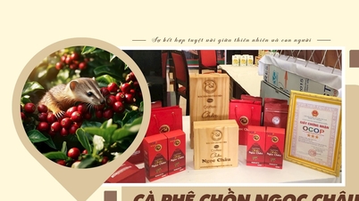 Productos raros de Dak Nong