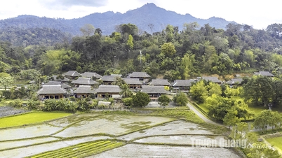 Preserving and promoting national cultural identity