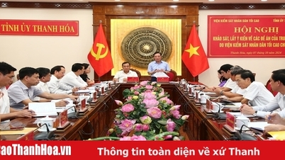 Le Parquet populaire suprême enquête et recueille des avis sur les projets centraux de la province de Thanh Hoa.