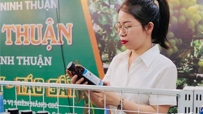 Sàn thương mại điện tử Ninh Thuận: Cần cải tiến để tăng sức mua