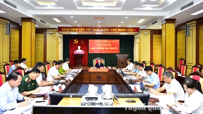 The Standing Committee of the Provincial Party Committee gave opinions on the reports of the Party Committee of the Provincial People's Committee and some important policies.
