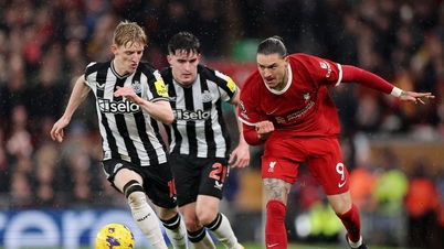 Comments and predictions for Newcastle United vs Liverpool: Crush the home team
