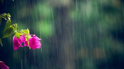 Ngày 9/4, các khu vực tỉnh Nghệ An có mưa và mưa nhỏ rải rác