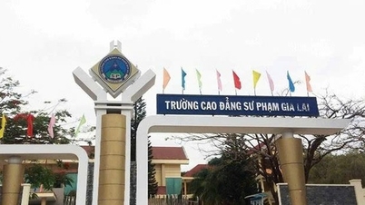 ការ​បង្កើត​សាខា​អប់រំ​នៃ​សាកលវិទ្យាល័យ​ទីក្រុង​ហូជីមិញ​នៅ Gia Lai