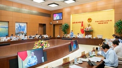 ប៉ាន់ស្មានថានឹងសម្រេចបាន និងលើសពីគោលដៅសេដ្ឋកិច្ចសង្គម ១៤/១៥ ក្នុងឆ្នាំ ២០២៤