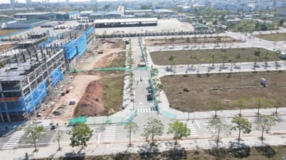 TP Móng Cái: Hoàn thiện quy hoạch, hạ tầng cho sự phát triển bền vững