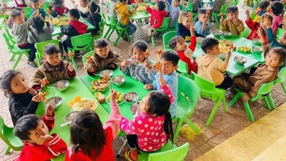 តេតកក់ក្តៅមកដល់ក្មេងៗនៅតំបន់ខ្ពង់រាប Quang Tri និង Quang Ngai