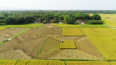 タンビン省、プロジェクト実施のため635ヘクタールの土地を造成