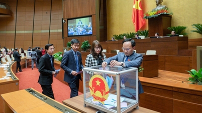 Hôm nay, Quốc hội công bố kết quả lấy phiếu tín nhiệm