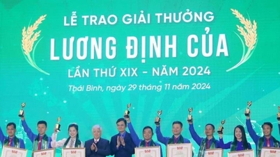 កសិករវ័យក្មេងឆ្នើមចំនួន៣៦នាក់បានទទួលពានរង្វាន់ Luong Dinh Cua លើកទី១៩