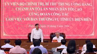 ប្រធានតុលាការប្រជាជនកំពូល លោក Nguyen Hoa Binh ធ្វើការជាមួយគណៈកម្មាធិការអចិន្ត្រៃយ៍បក្សខេត្ត