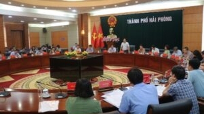 ទីក្រុង Hai Phong៖ ឃុំចំនួន ១១ បន្ថែមទៀត ទទួលបានស្តង់ដារជនបទថ្មីជឿនលឿន គំរូស្តង់ដារជនបទថ្មី។