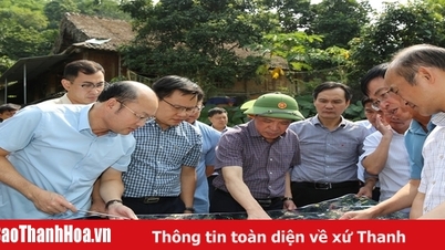 Standing Deputy Secretary of the Provincial Party Committee Lai The Nguyen surveyed the implementation plan of the Inter-regional Connecting Road project.