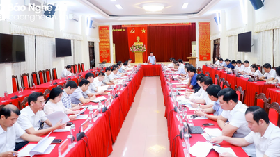 Standing Committee of the Steering Committee for the arrangement of administrative units of Nghe An province works with leaders of districts, cities and towns.