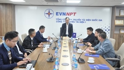 Kiểm tra đảm bảo điện khối truyền tải dịp Tết