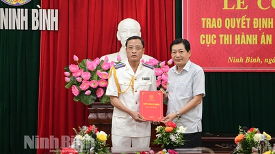 Announcement of Decision on appointment of the position of Director of the Civil Judgment Enforcement Department of Ninh Binh province