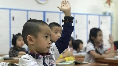 Regulations on extra tutoring cause concern, Government asks Ministry of Education to review