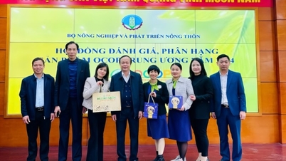 ផលិតផលពីររបស់ Phu Tho ទទួលបានវិញ្ញាបនបត្រ OCOP ផ្កាយ 5 ថ្នាក់ជាតិ