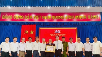 Phó Bí thư Thường trực Tỉnh ủy Nguyễn Đức Dũng trao Huy hiệu Đảng cho các đảng viên lão thành