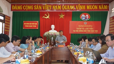 Trung ương Hội Nông dân Việt Nam làm việc với Hội Nông dân tỉnh