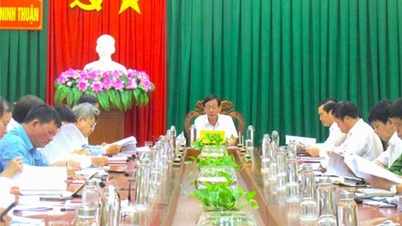 គណៈកម្មាធិការ​ដឹកនាំ​ខេត្ត​ដើម្បី​ប្រឆាំង​អំពើ​ពុករលួយ​និង​អវិជ្ជមាន​ដាក់​ពង្រាយ​កិច្ចការ​សំខាន់ៗ​សម្រាប់​ត្រីមាស​ទី​៤ ឆ្នាំ​២០២៣