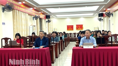 Cục Thống kê tỉnh tổ chức tập huấn điều tra dân số và nhà ở giữa kỳ năm 2024