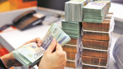 Public debt borrowing and repayment plan in 2024