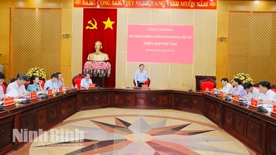 Ban Chỉ đạo phòng chống tham nhũng, tiêu cực tỉnh họp phiên thứ 8