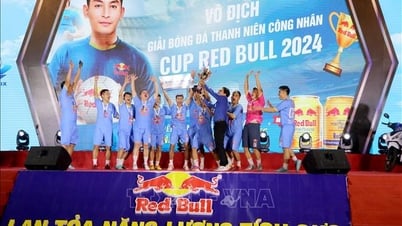 Youth Festival of Industrial Parks and Export Processing Zones in Hai Phong