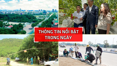 Nghe An: Highlights am 3. April