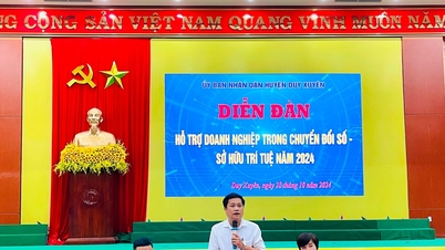 Duy Xuyen은 디지털 전환 및 지식 재산 분야에서 기업을 지원하기 위한 포럼을 개최합니다.
