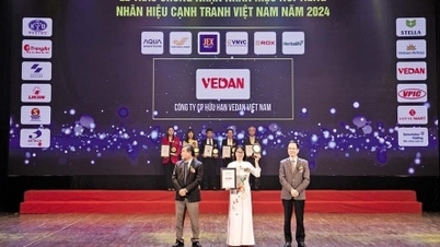 ヴェダンベトナムが2024年の「ベトナム有名ブランドトップ10」に選出